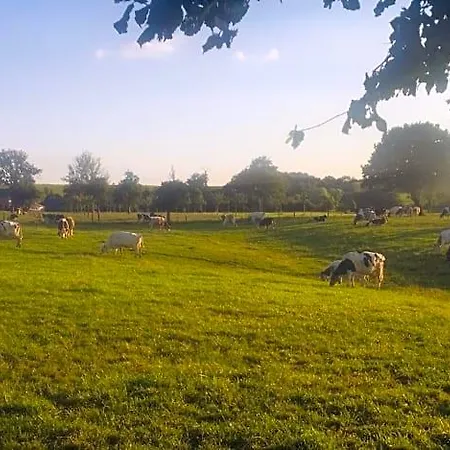 Frühstückspension Aux Pieds Des Vaches 3*