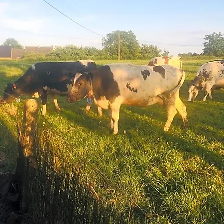 Frühstückspension Aux Pieds Des Vaches 3*